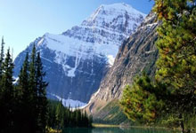 天涯论坛官网台湾：穿越海峡的文化交流桥梁